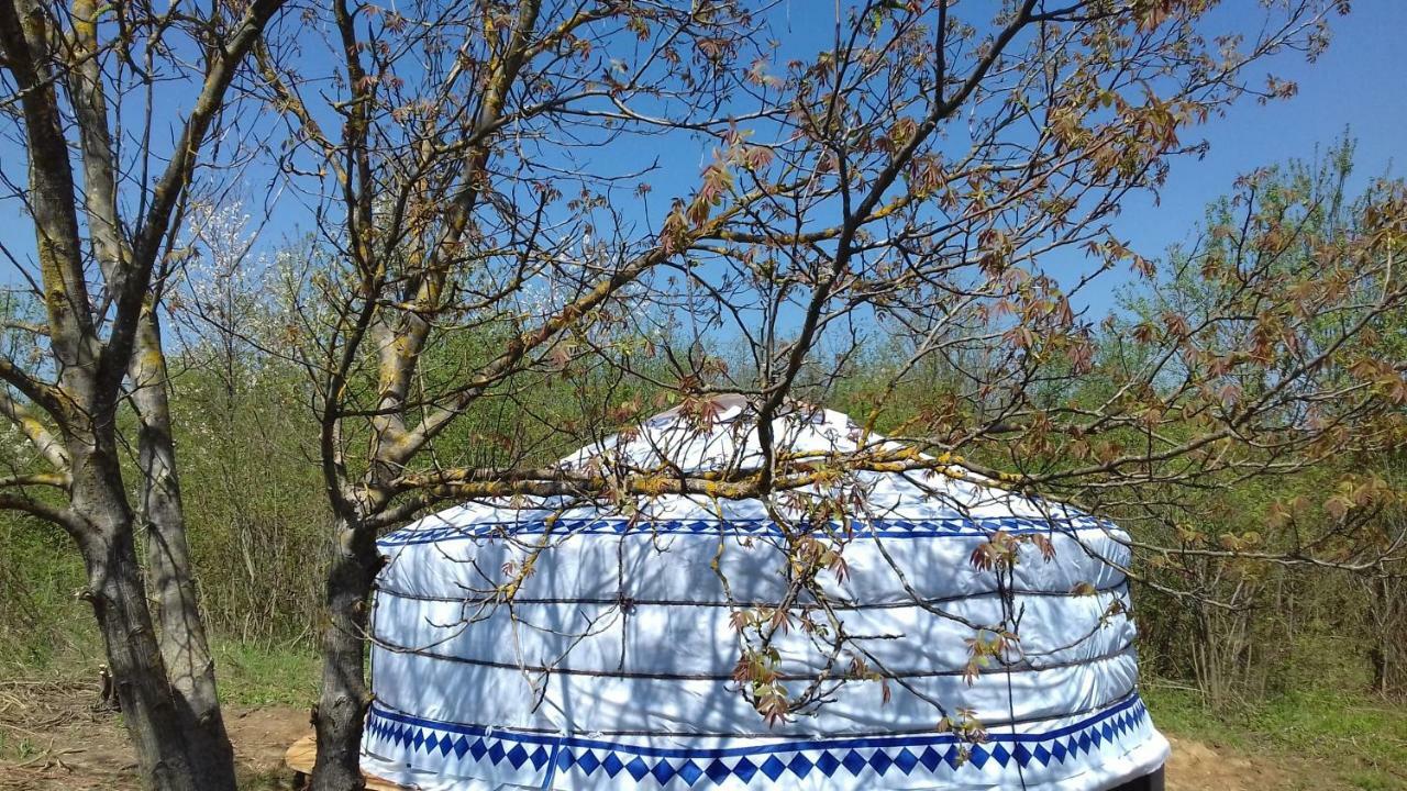 Romantic Mongolian Yurt In The Wild Hotel Rakovica Buitenkant foto