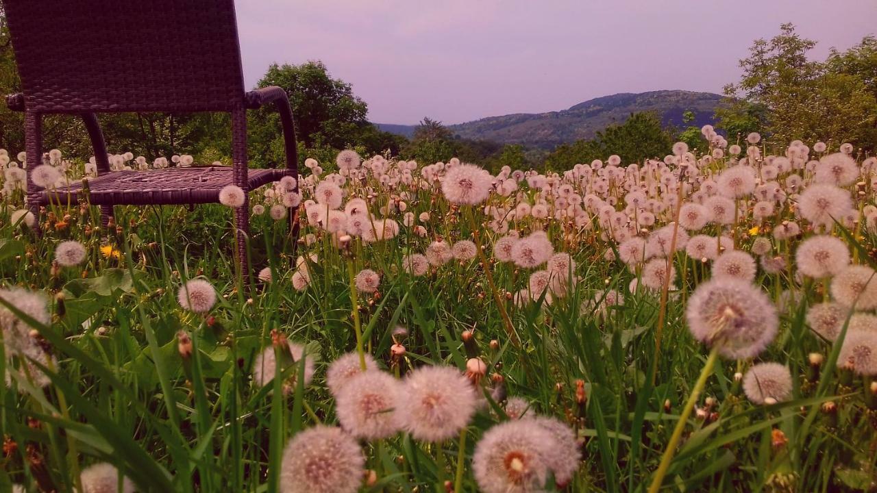 Romantic Mongolian Yurt In The Wild Hotel Rakovica Buitenkant foto